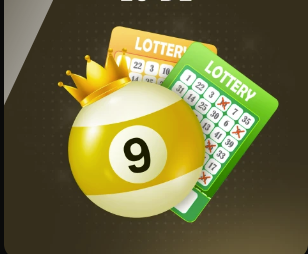 KINGKONG官网最新